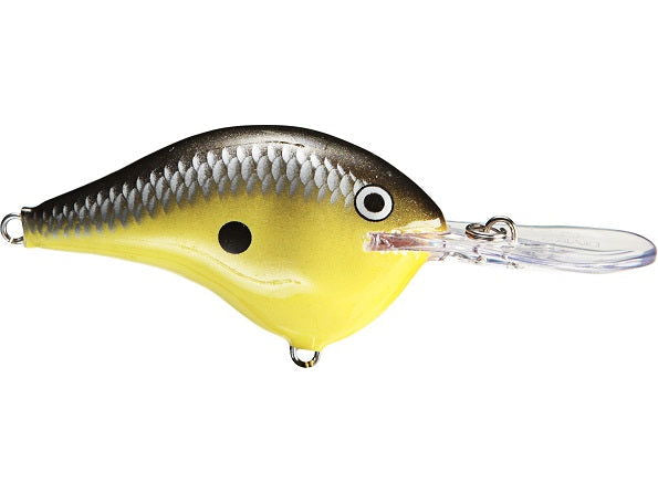 Rapala DT Series 16 Crankbait (Ike) Bobber Bargain