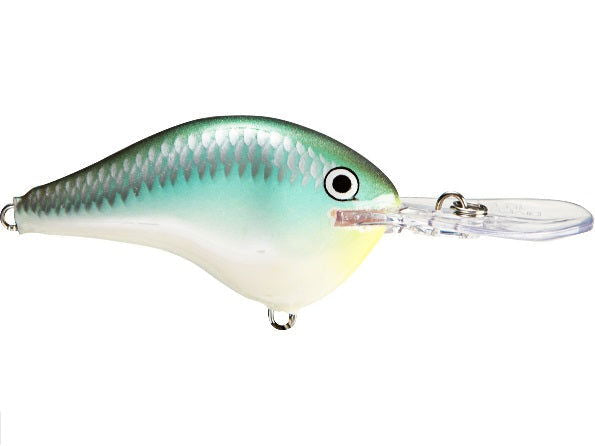 Rapala DT Series 16 Crankbait (Ike) Bobber Bargain