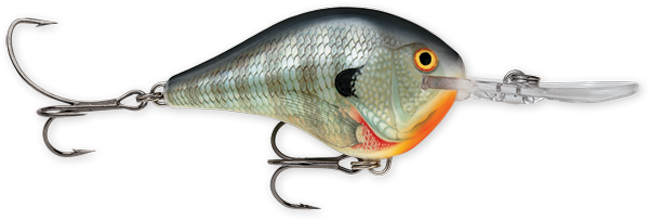 Rapala DT Series Crankbaits (3/4 oz) Bobber Bargain