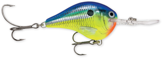 Rapala DT Series Crankbaits (3/4 oz) Bobber Bargain