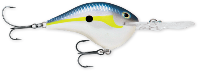 Rapala DT Series Crankbaits (3/4 oz) Bobber Bargain