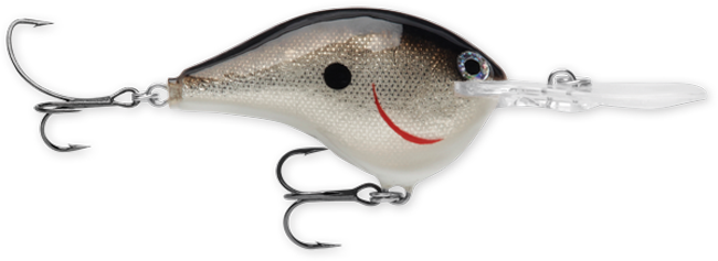 Rapala DT Series Crankbaits (3/4 oz) Bobber Bargain