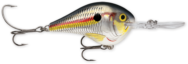 Rapala DT Series Crankbaits (3/4 oz) Bobber Bargain