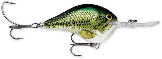 Rapala DT Series Crankbaits (3/4 oz) Bobber Bargain