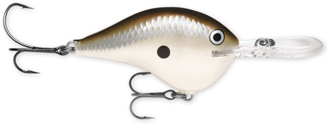 Rapala DT Series Crankbaits (3/4 oz) Bobber Bargain