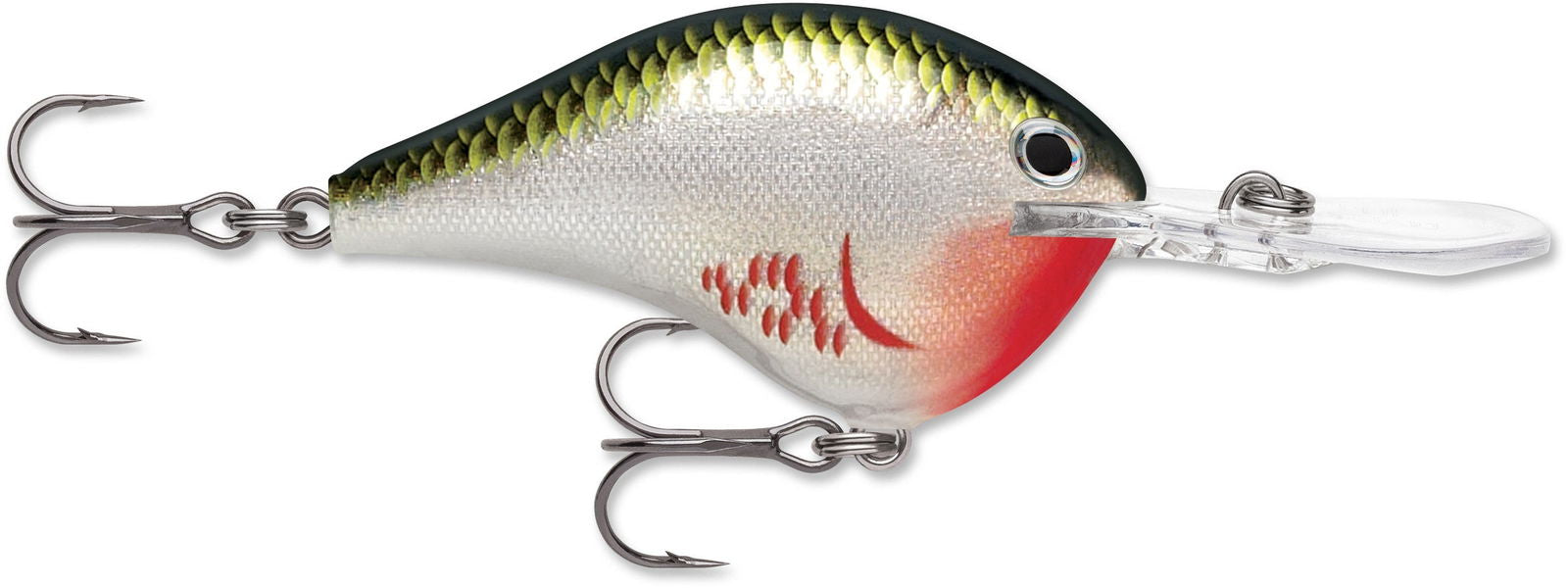 Rapala DT Series Crankbaits (3/4 oz) Bobber Bargain