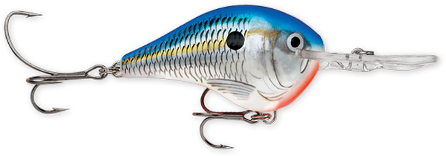 Rapala DT Series Crankbaits (3/4 oz) Bobber Bargain