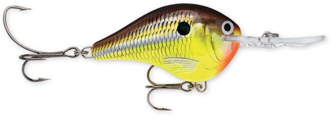 Rapala DT Series Crankbaits (3/4 oz) Bobber Bargain