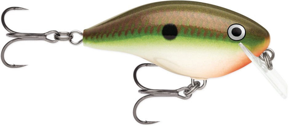 Rapala Ott Garage Rocco 05 Bobber Bargain