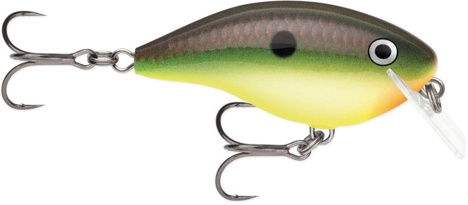 Rapala Ott Garage Rocco 05 Bobber Bargain