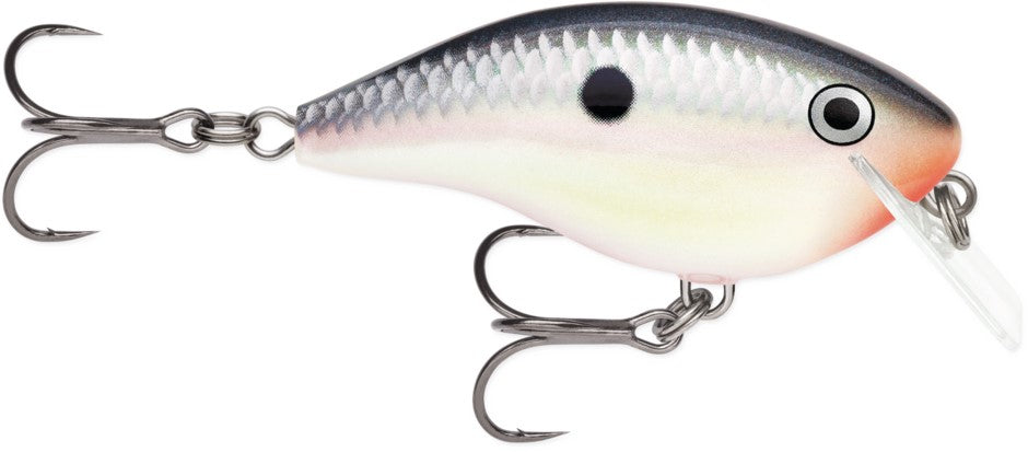 Rapala Ott Garage Rocco 05 Bobber Bargain