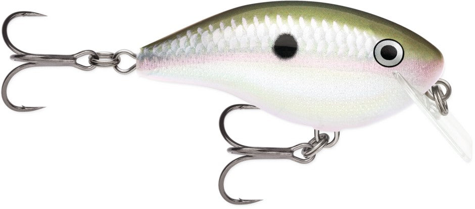 Rapala Ott Garage Rocco 05 Bobber Bargain