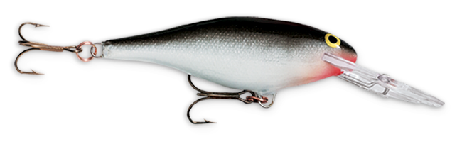 Rapala Shad Rap (2