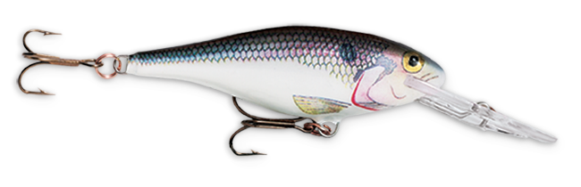 Rapala Shad Rap (2