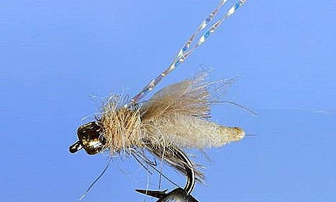 Caddis des Rocheuses - 5 couleurs