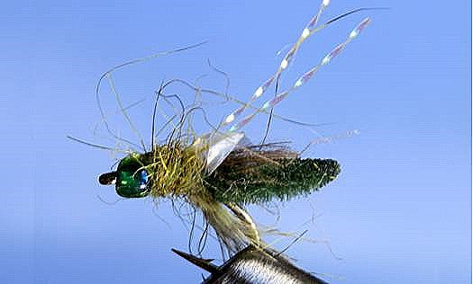 Caddis des Rocheuses - 5 couleurs