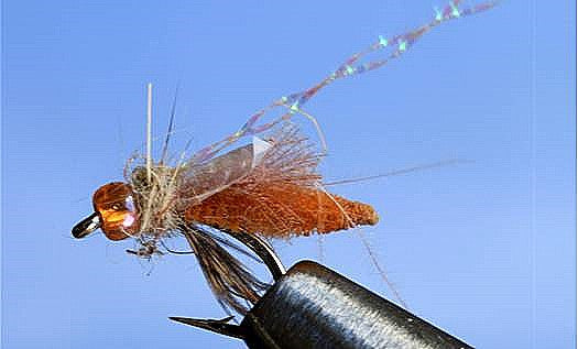 Caddis des Rocheuses - 5 couleurs