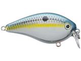 KVD 1.5 HC Shallow Squarebill Crankbait