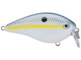 KVD 1.5 HC Shallow Squarebill Crankbait
