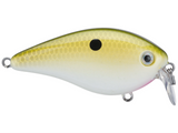 KVD 1.5 HC Shallow Squarebill Crankbait