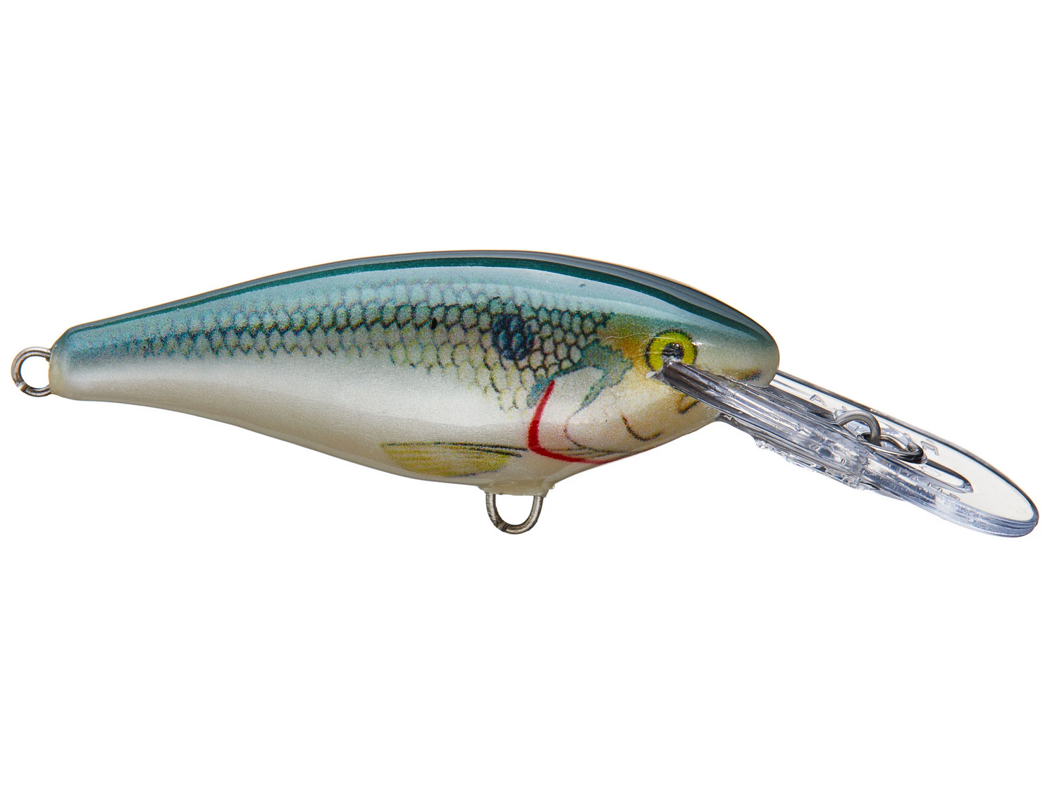 Shad Rap 5 Crankbait