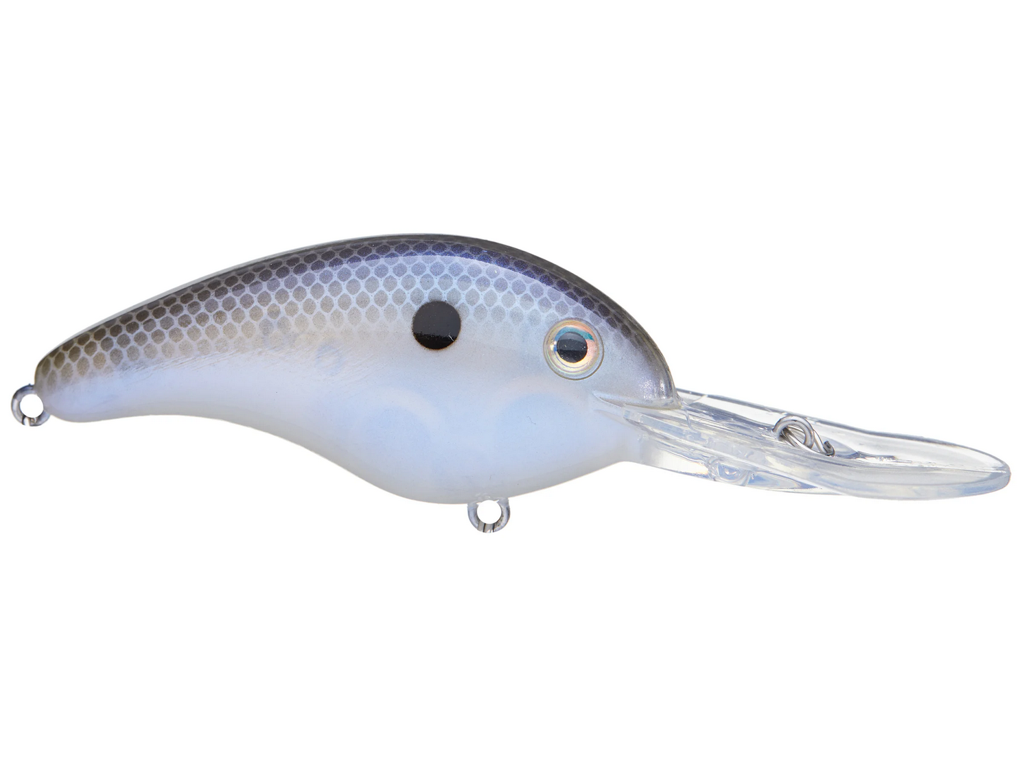 Pro Model 5XD Crankbait
