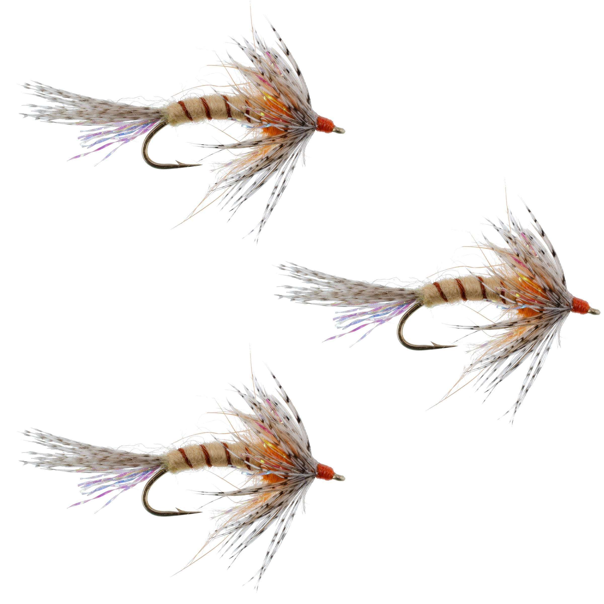 Paquete de 3 moscas húmedas de hackle suave para otoño Orange Shakey Bealy - Tamaño de anzuelo 10