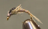 Moustiques à dos en mousse fendue