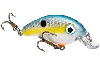 Strike King Bitsy Pond Minnow (3/32oz) Bobber Bargain