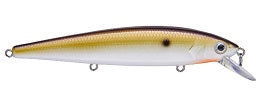 Strike King KVD Jerkbait (2 Hook, 4.5