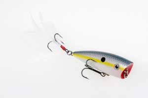 Strike King KVD Splash Jr 3 3/4