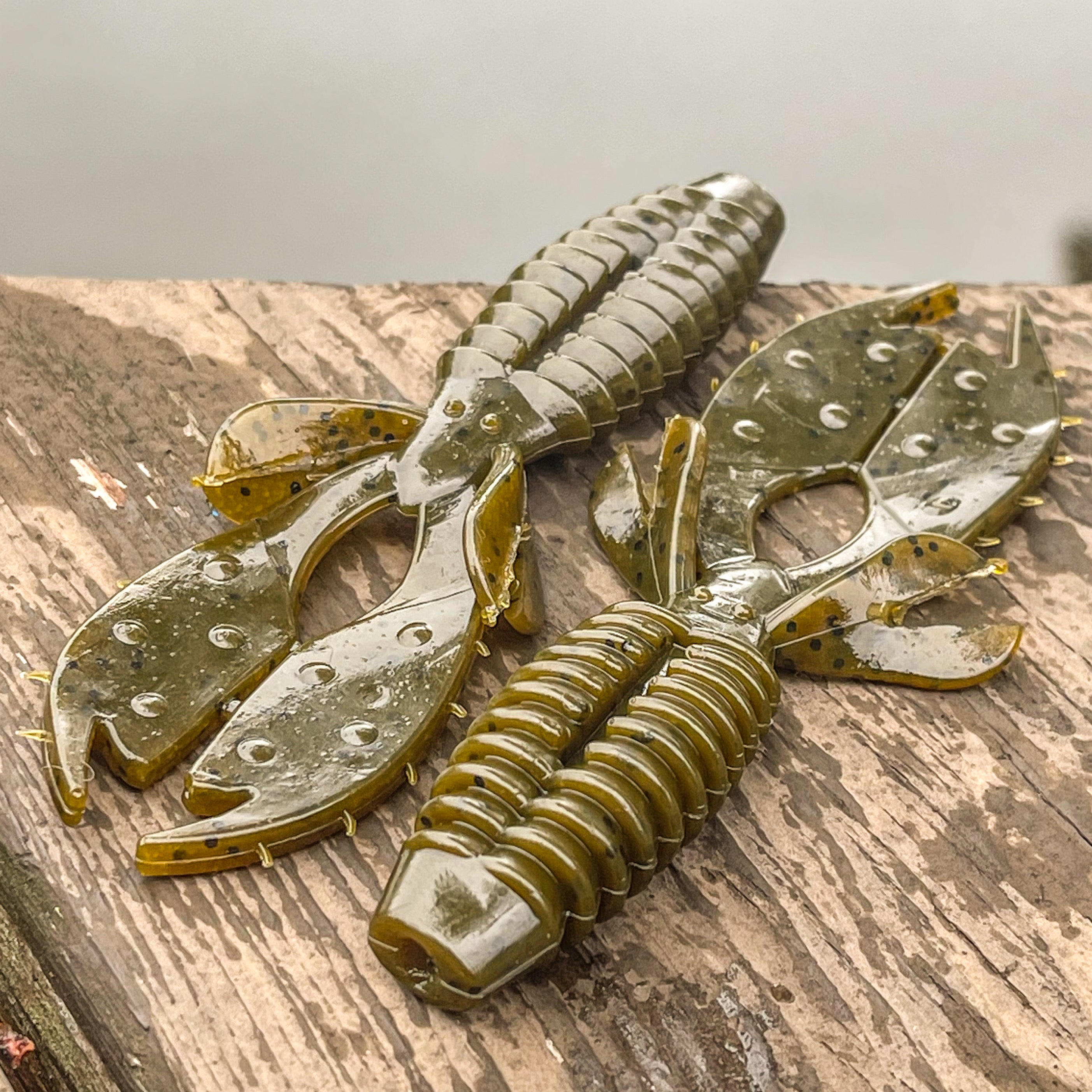 Warthog (Beaver) - 8 Count