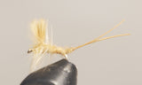 Extended Body Mayfly