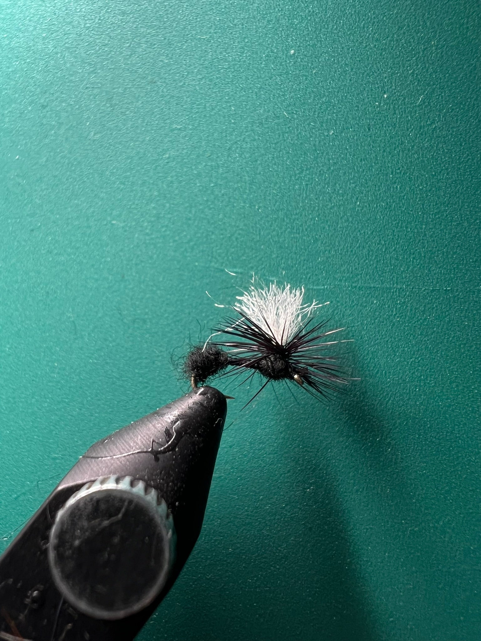 Parachute fourmi noire