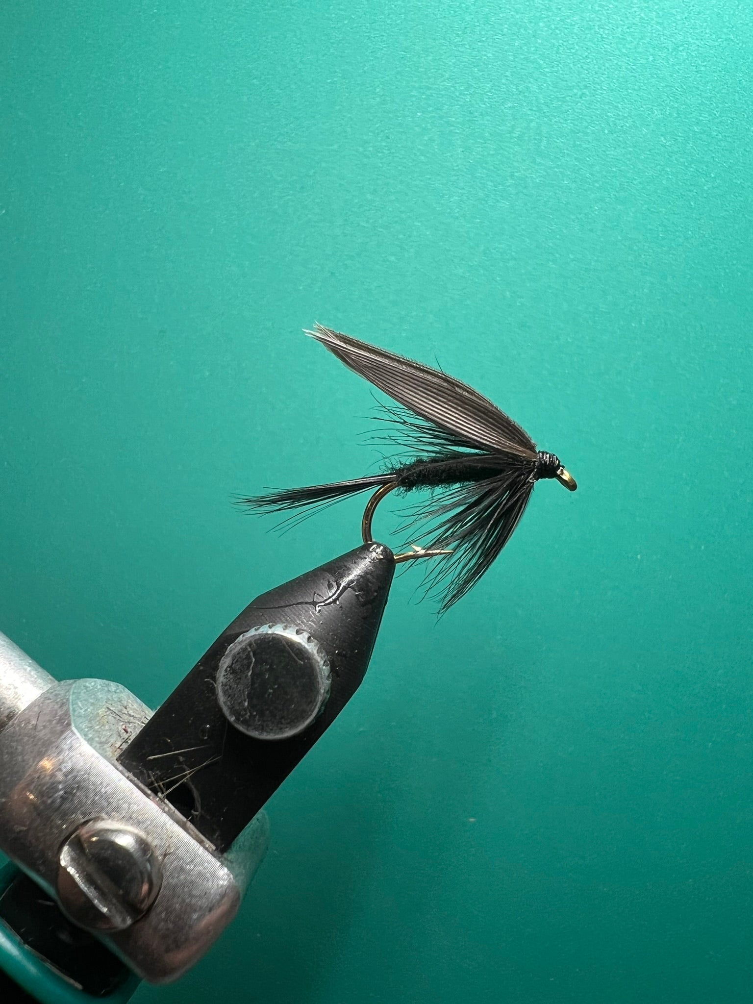 Mosca negra mojada