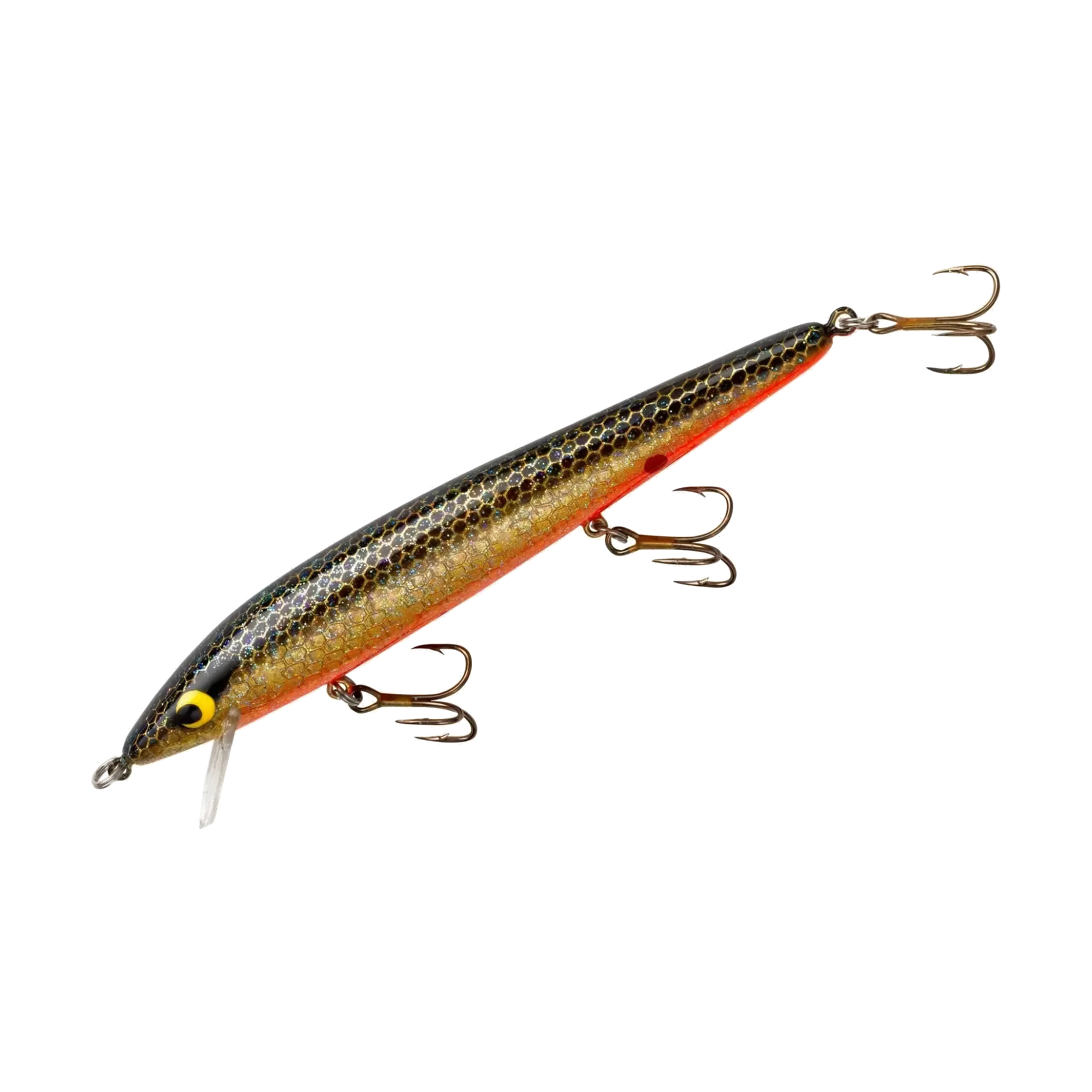 Floating Rattlin' Rogue