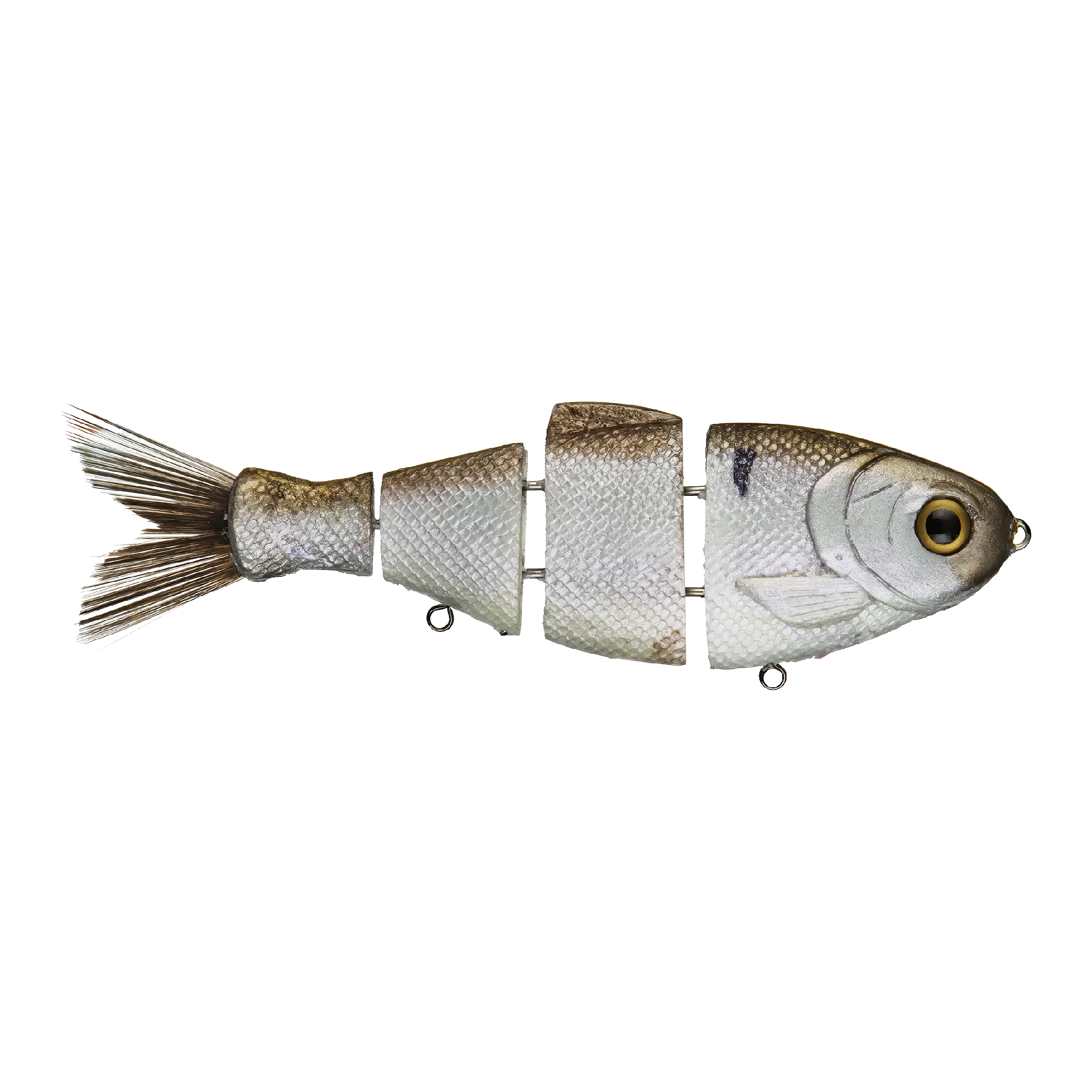 Bull Shad Slow Sink