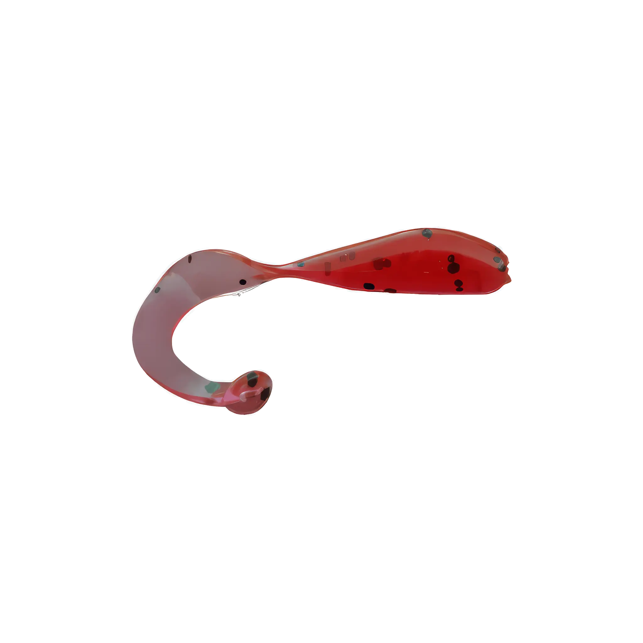 Larva de cola rizada