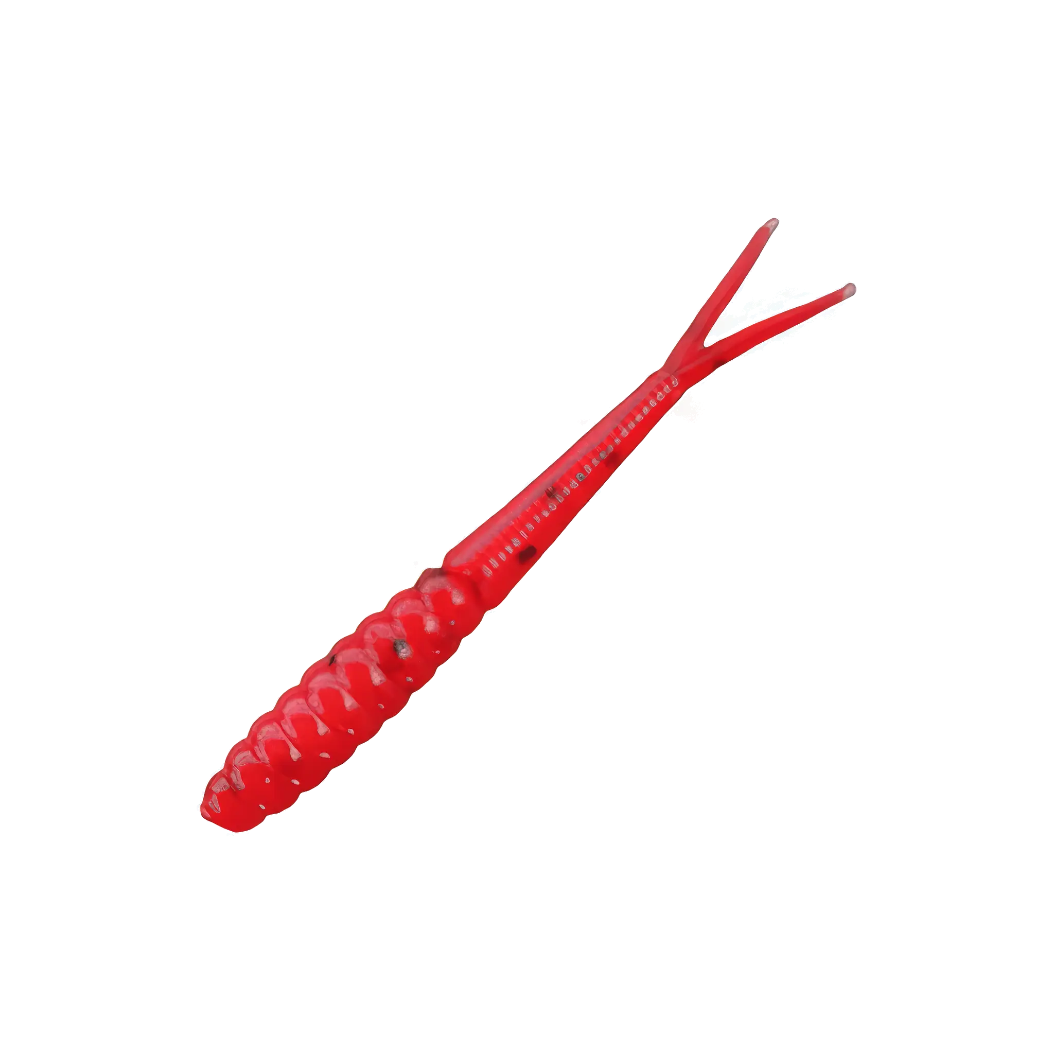 Flicker Minnow