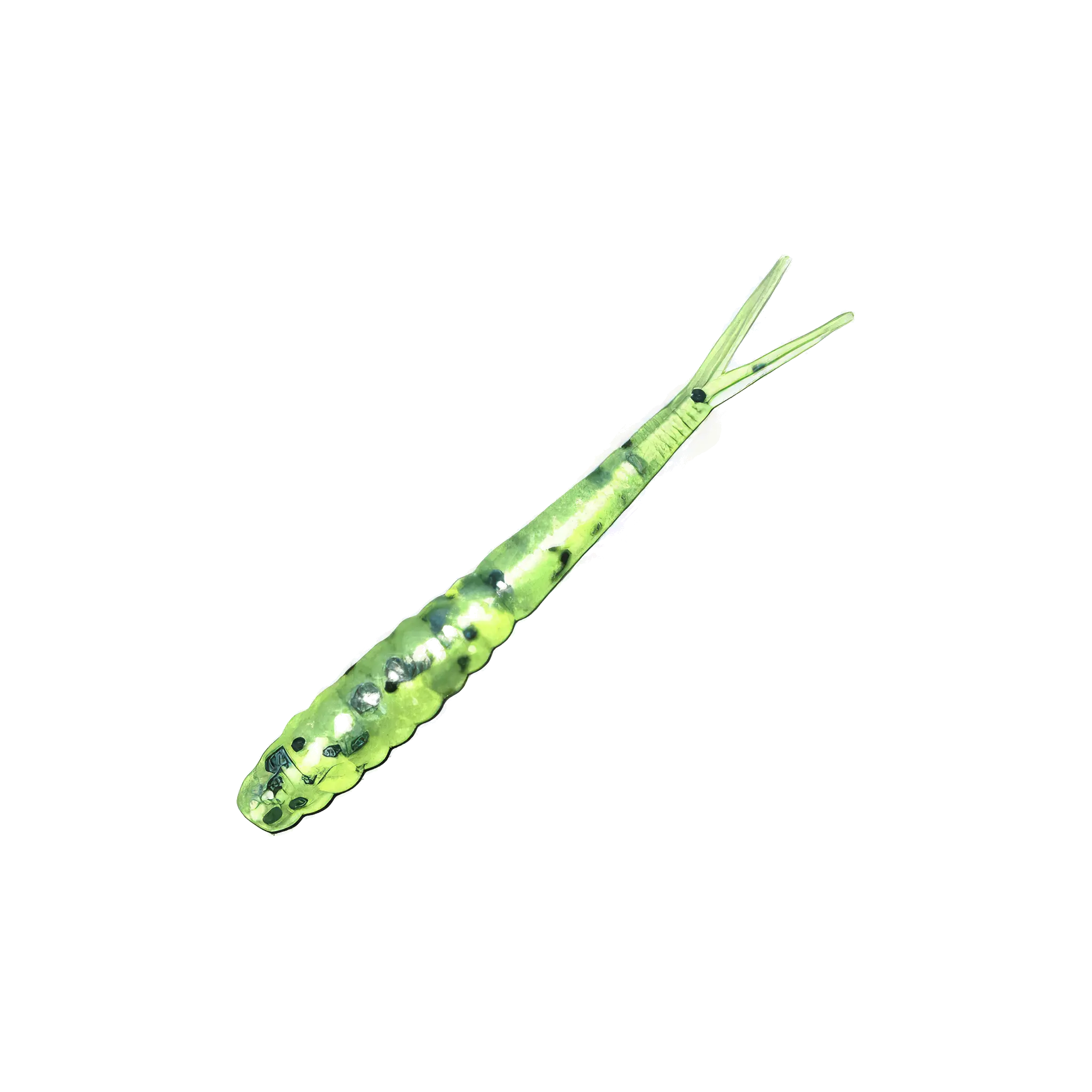 Flicker Minnow