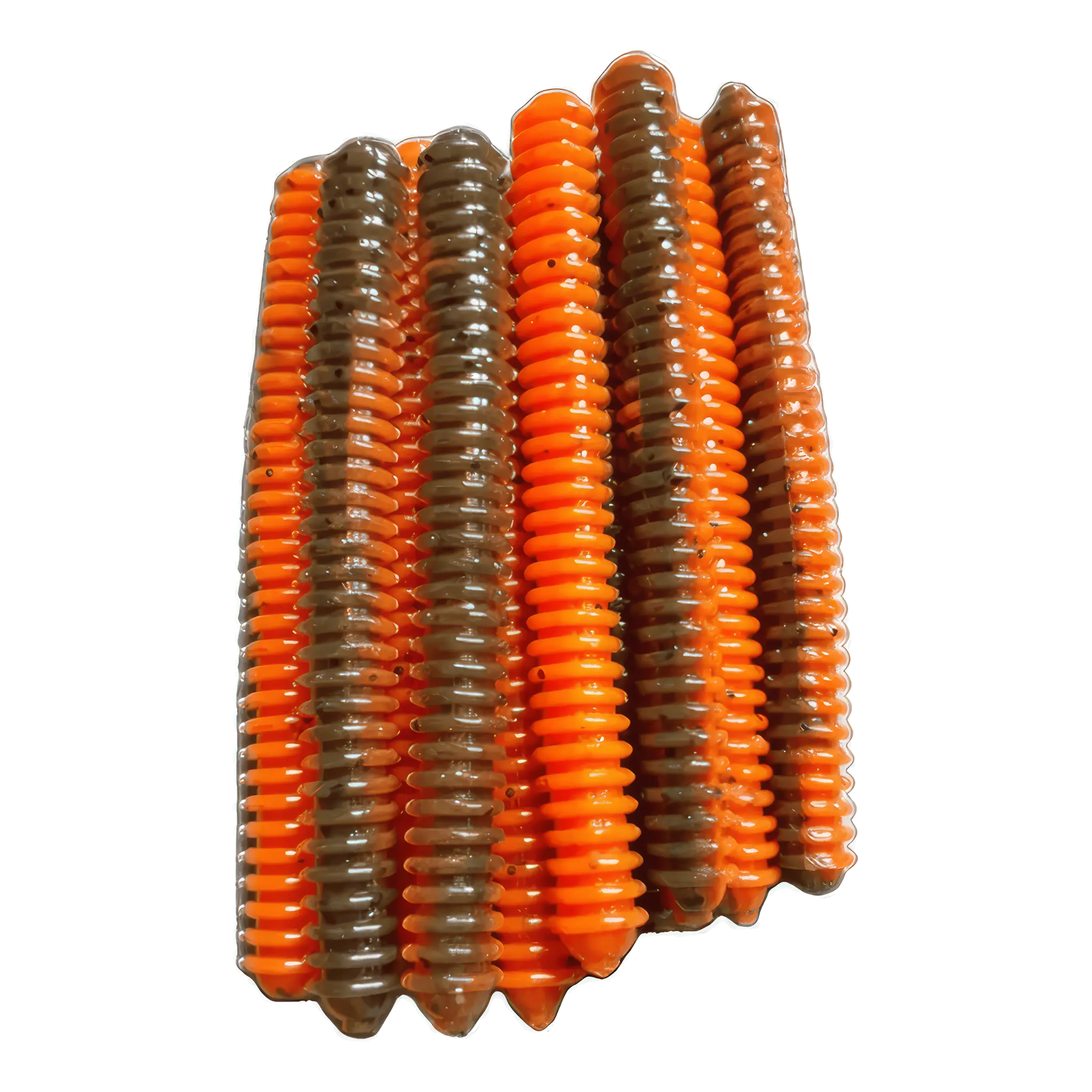 Ring Worm