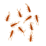 StoneStorm Stonefly Nymphs