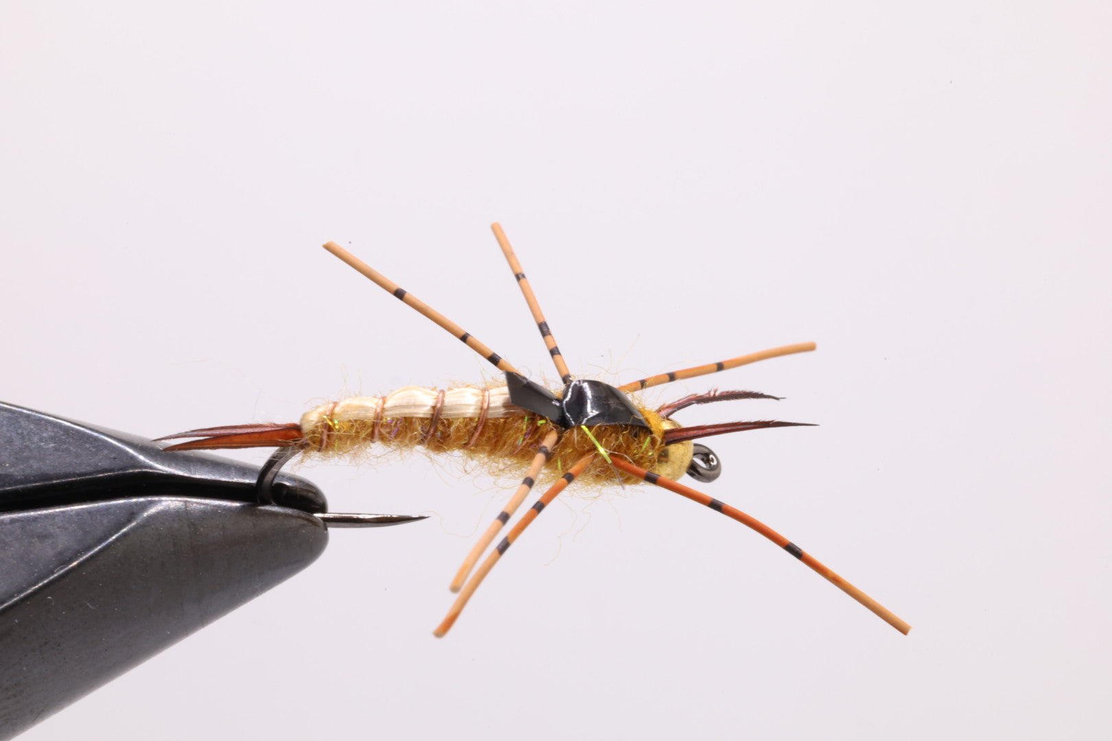 Golden Thug Stone Fly