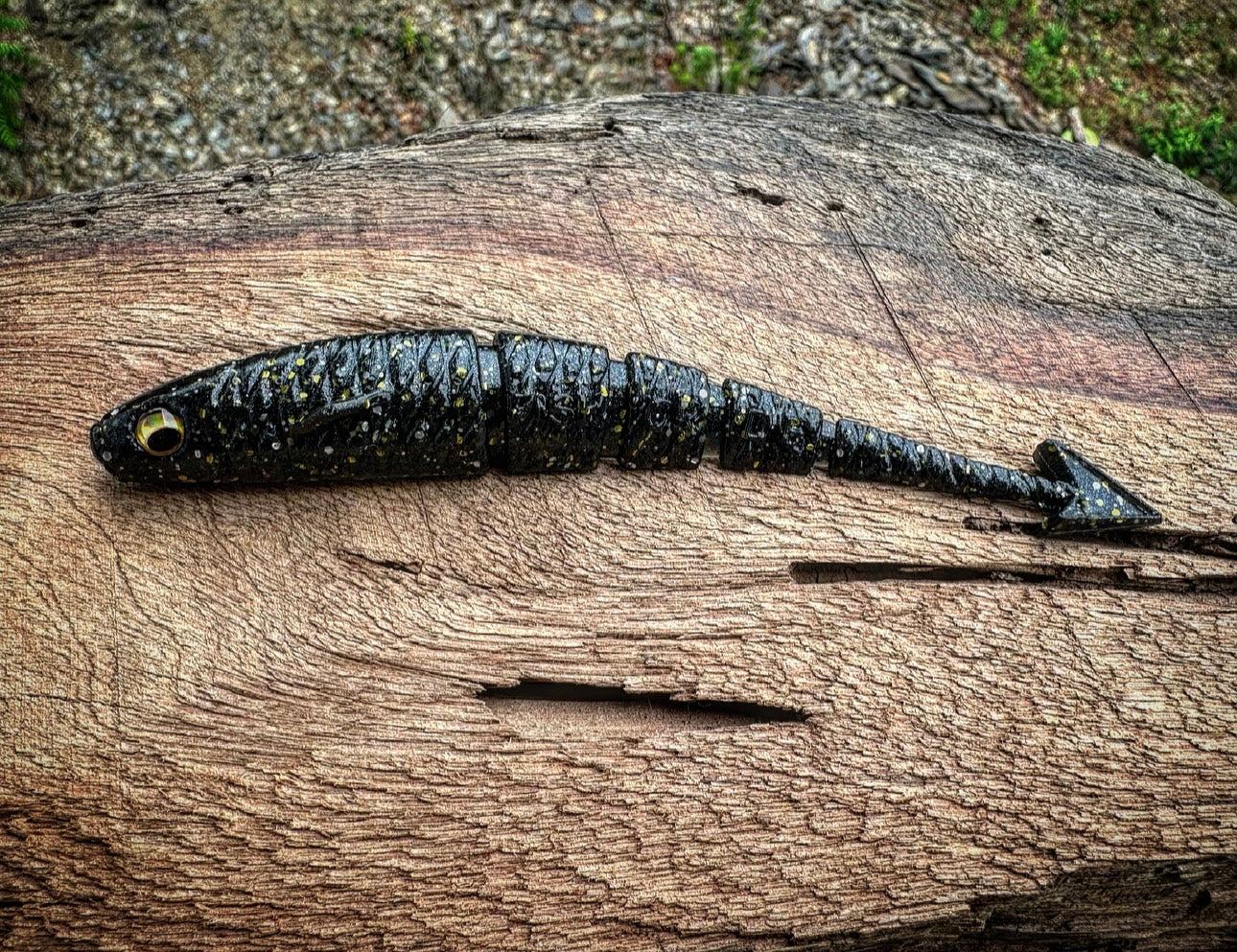 Pájaro de guerra