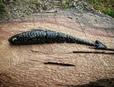 Pájaro de guerra