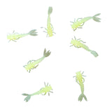 ProMayfly Nymphs