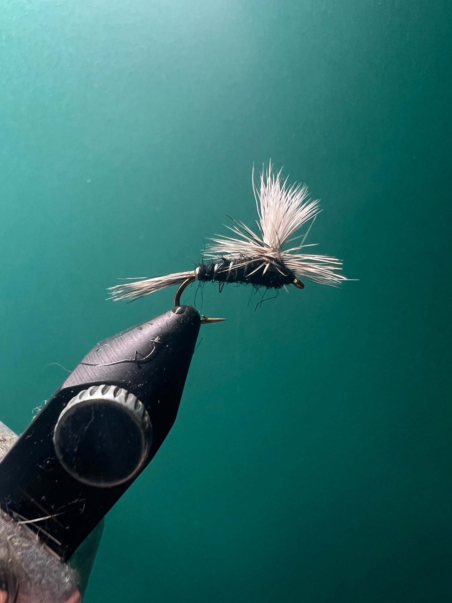 Parachute Moustique