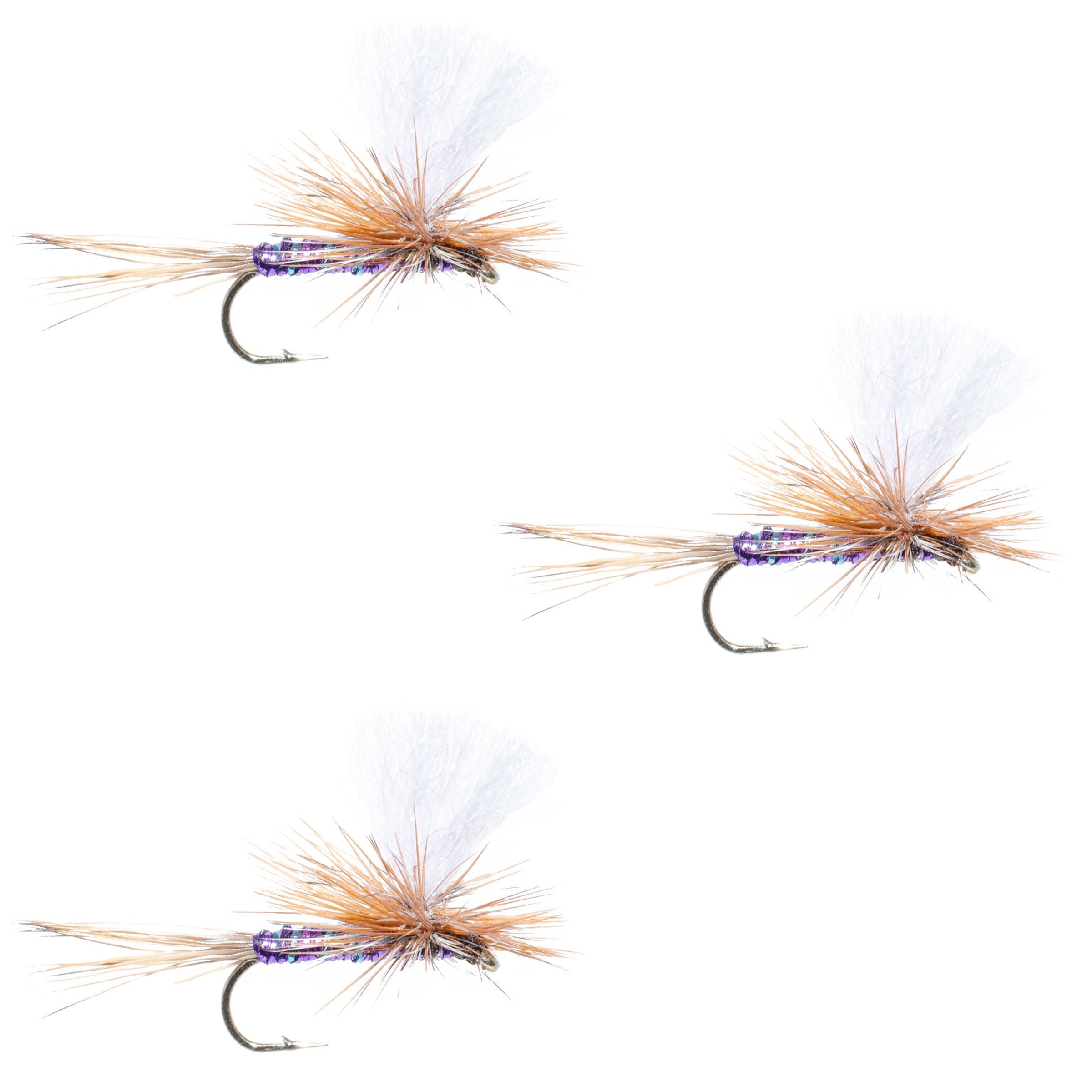 Paquete de 3 moscas secas Parachute Super Flash Purple Haze - Tamaño 14
