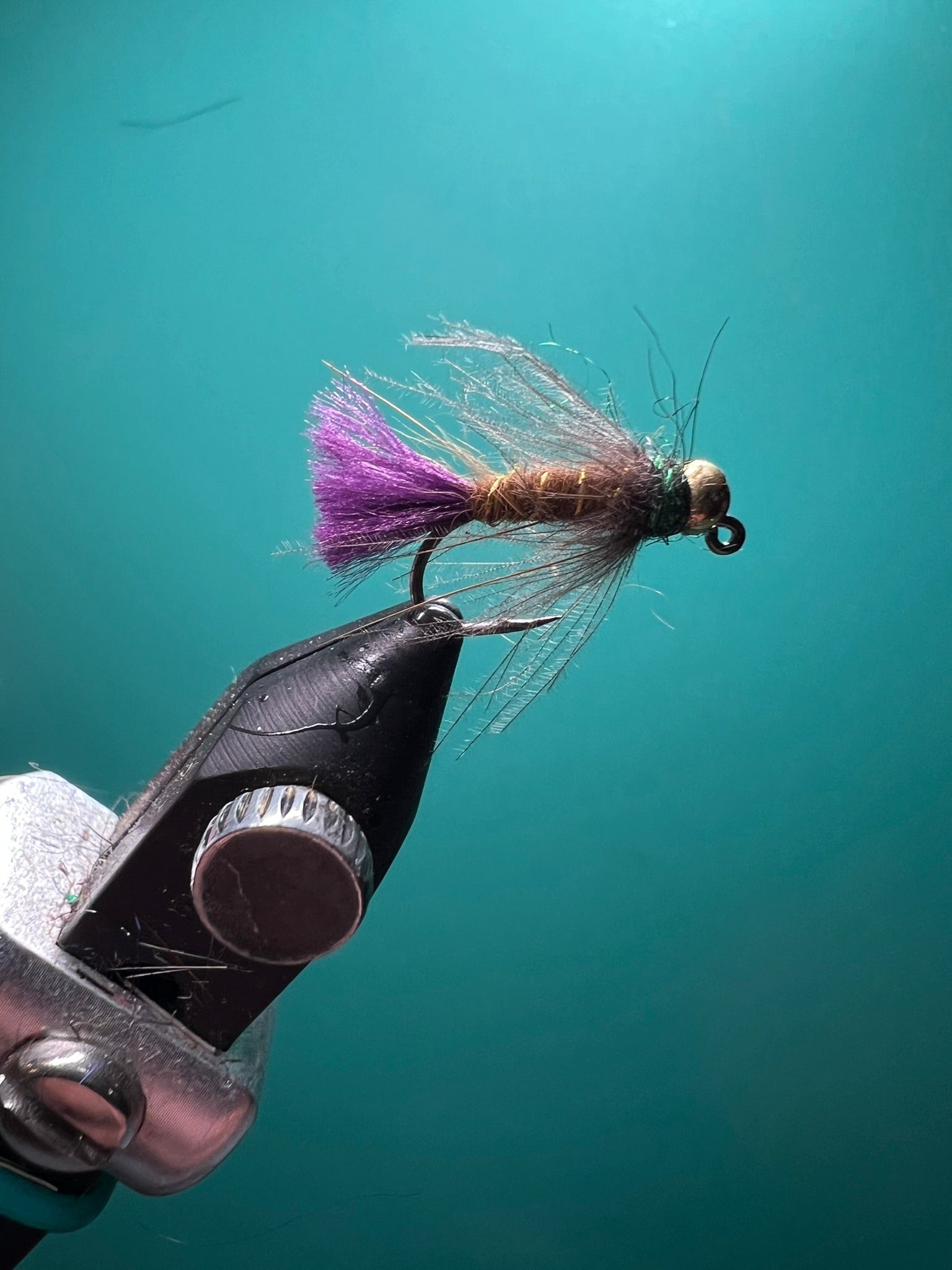 Purple Tail CDC