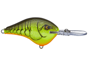 Rapala - DT10 Series Crankbait - Bobber Bargain